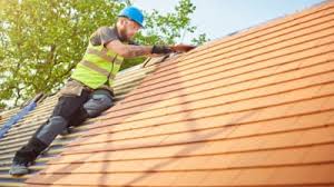 Best Roof Moss and Algae Removal  in Stanfield, NC