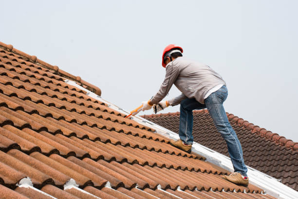 Best Solar Panel Roofing Installation  in Stanfield, NC